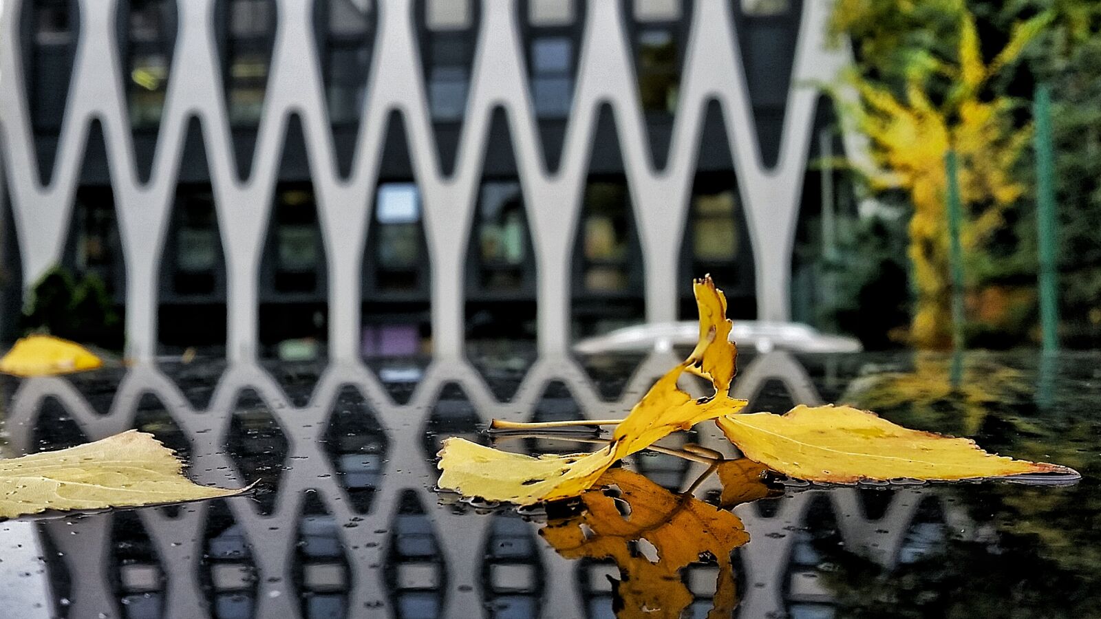 Samsung Galaxy S5 sample photo. Autumn, october, office, car photography