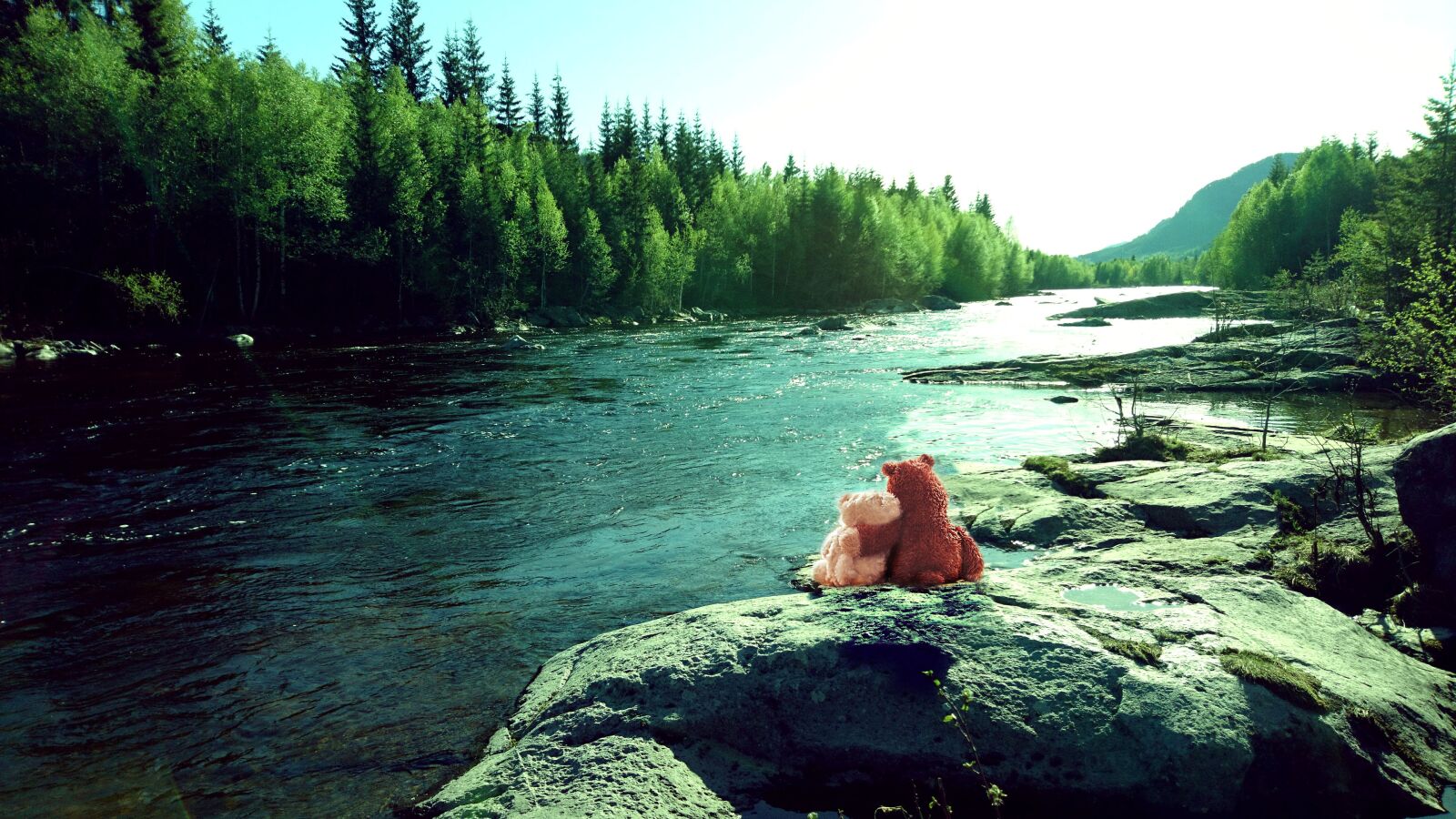 Sony Xperia X sample photo. Forest, teddybear, spring photography
