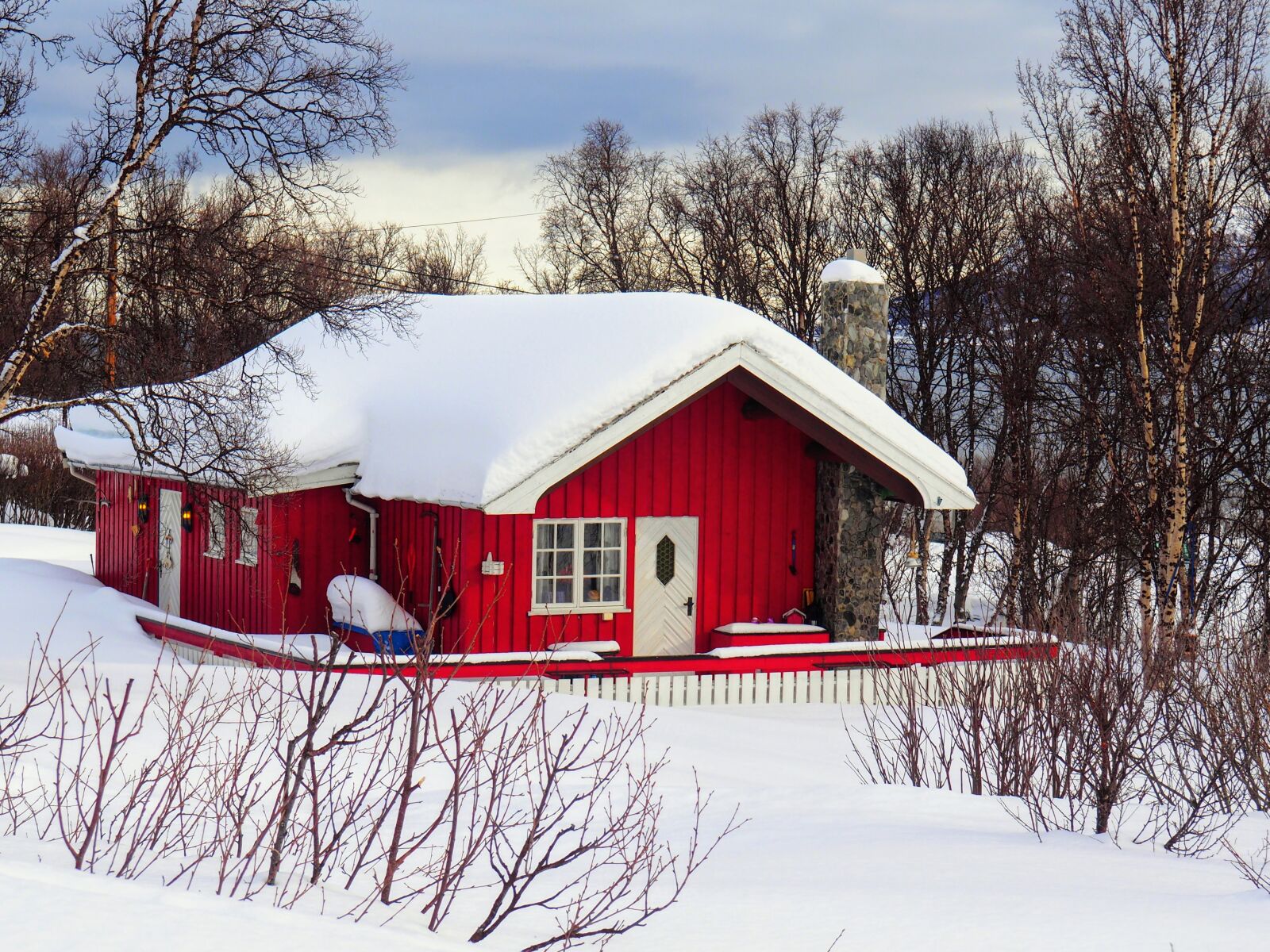 Olympus OM-D E-M10 II sample photo. Snow, winter, cold photography