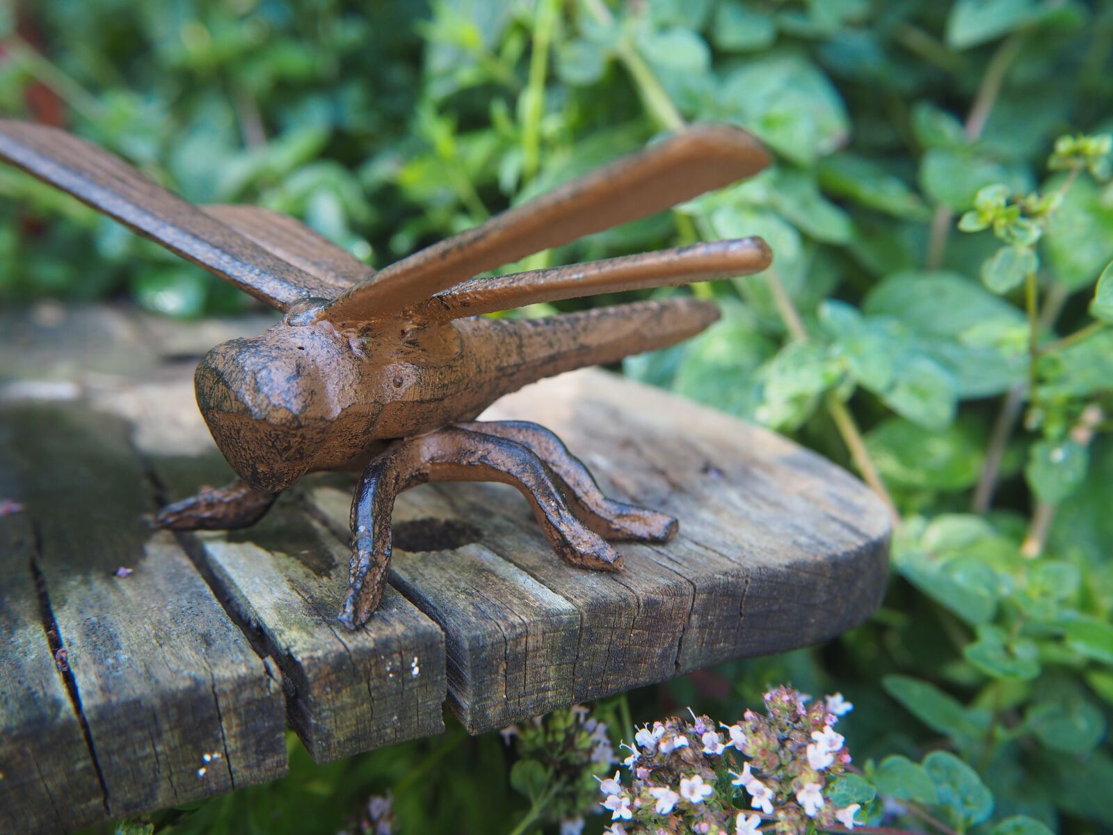 Olympus OM-D E-M10 sample photo. Dragonfly, cast iron, garden photography