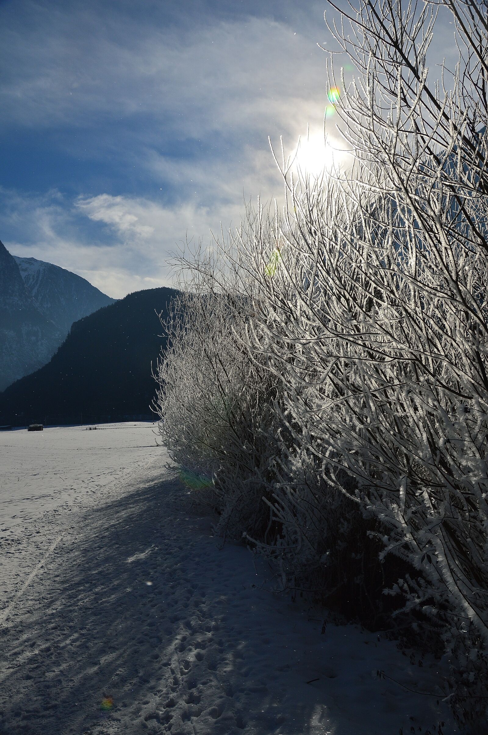 Nikon D3200 sample photo. Snow, winter, winter forest photography