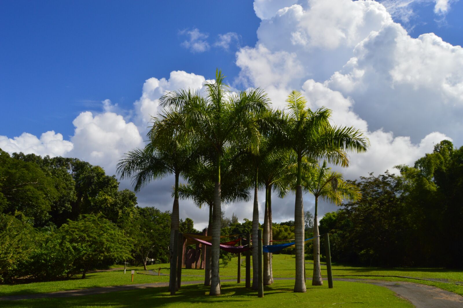 Nikon D3200 sample photo. Sky, caribbean, sun photography
