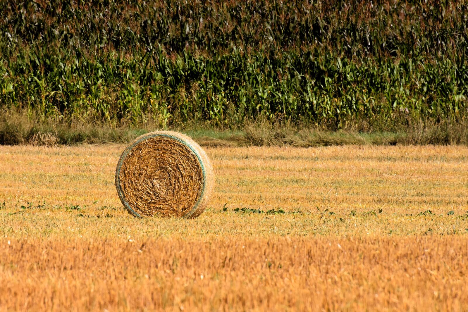 Nikon D7200 sample photo. Hay bales, landscape, farm photography