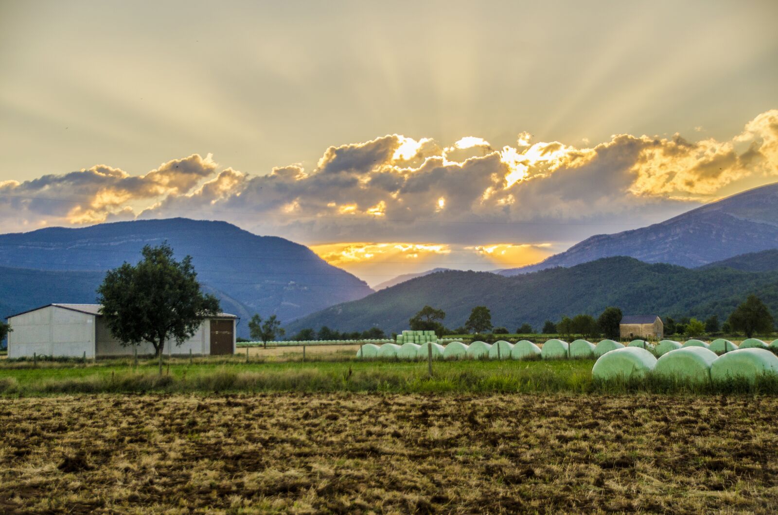 Nikon D5100 sample photo. Rural, field, agriculture photography