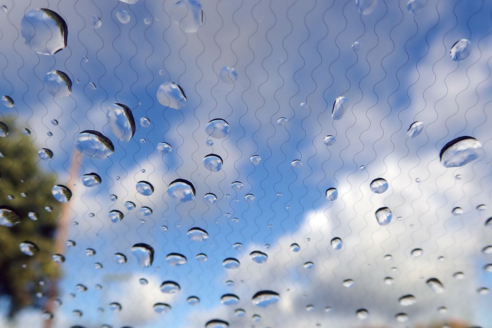 Olympus TG-5 sample photo. Front windshields, car, window photography