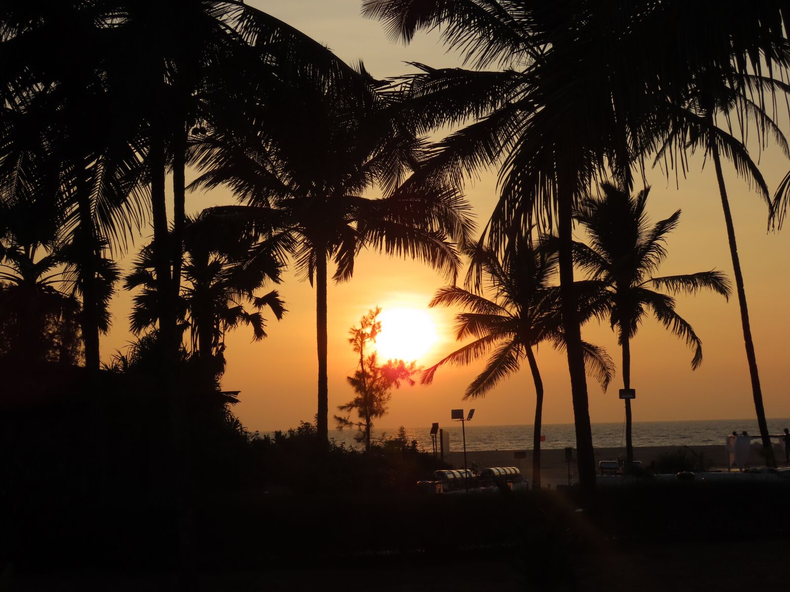 Canon PowerShot SX70 HS sample photo. Sunset, goa, beach photography