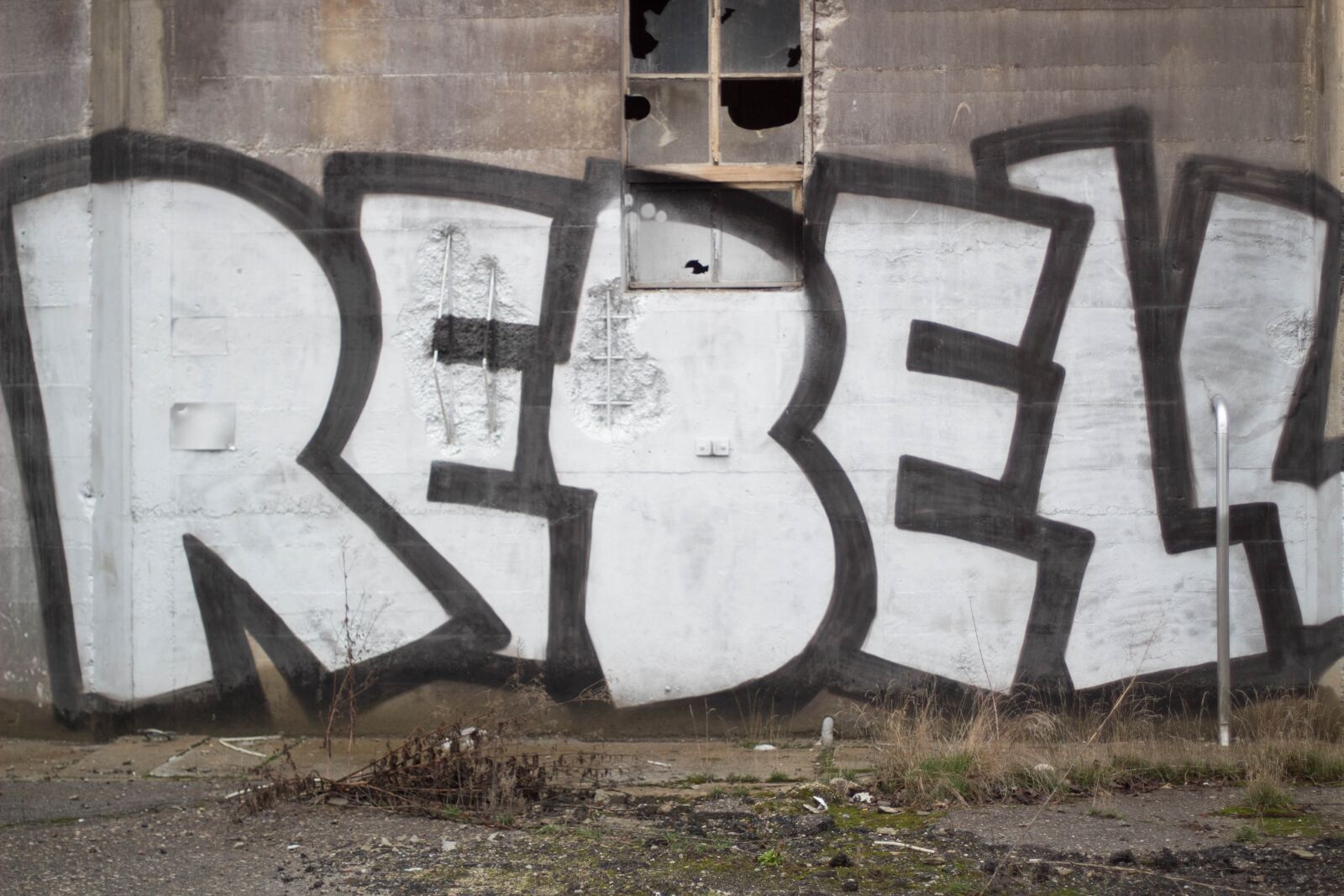 Canon EF 50mm F1.4 USM sample photo. Graffiti, road, art photography