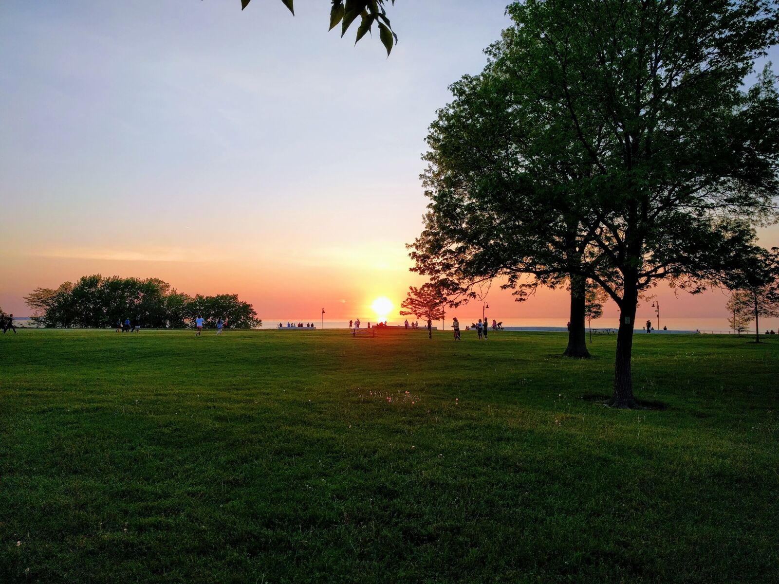 LG Nexus 5X sample photo. Sunset, park, people photography