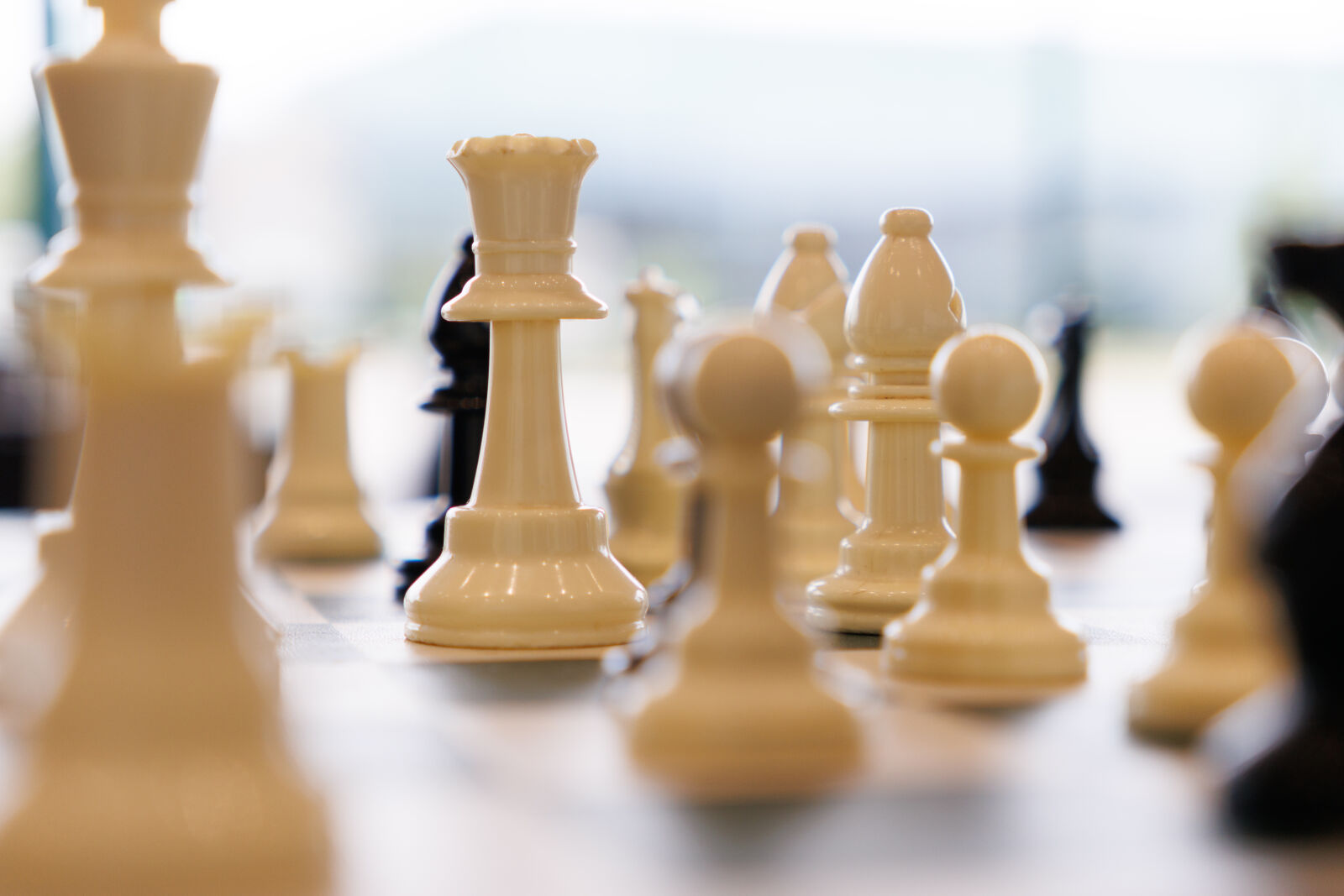 Canon EOS R7 sample photo. A game of chess photography