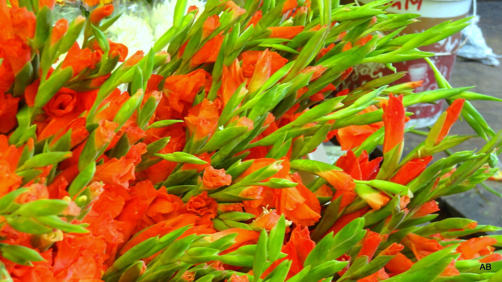 Sony Cyber-shot DSC-HX9V sample photo. Close, up, of, red photography