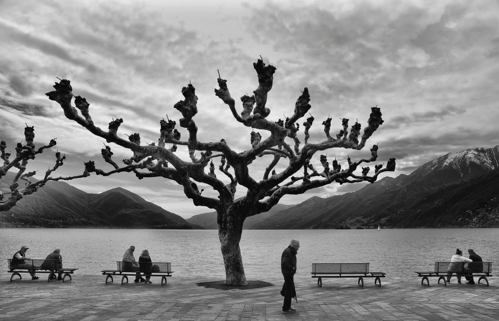 Nikon D7000 sample photo. Lake, winter, black and photography