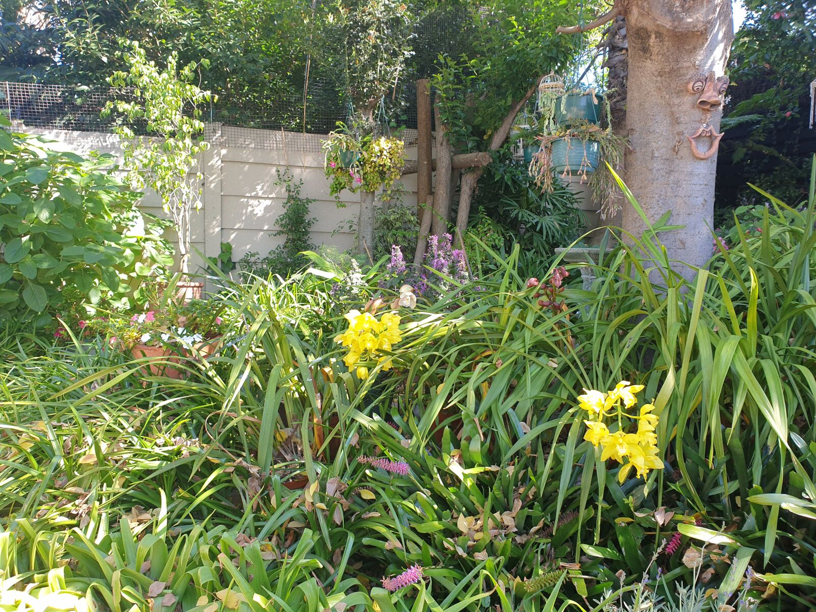 Samsung Galaxy S9 sample photo. Garden, yellow, orchids photography