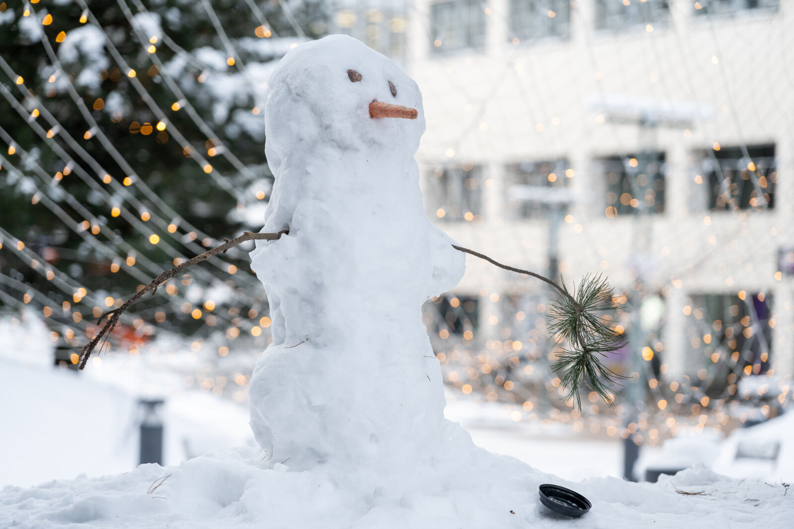 Nikon Nikkor Z 24-120mm F4 S sample photo. Snowman for the mall photography