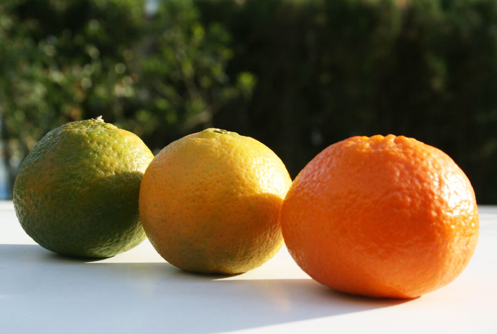 Canon EOS 400D (EOS Digital Rebel XTi / EOS Kiss Digital X) sample photo. Fruit, orange, bless you photography