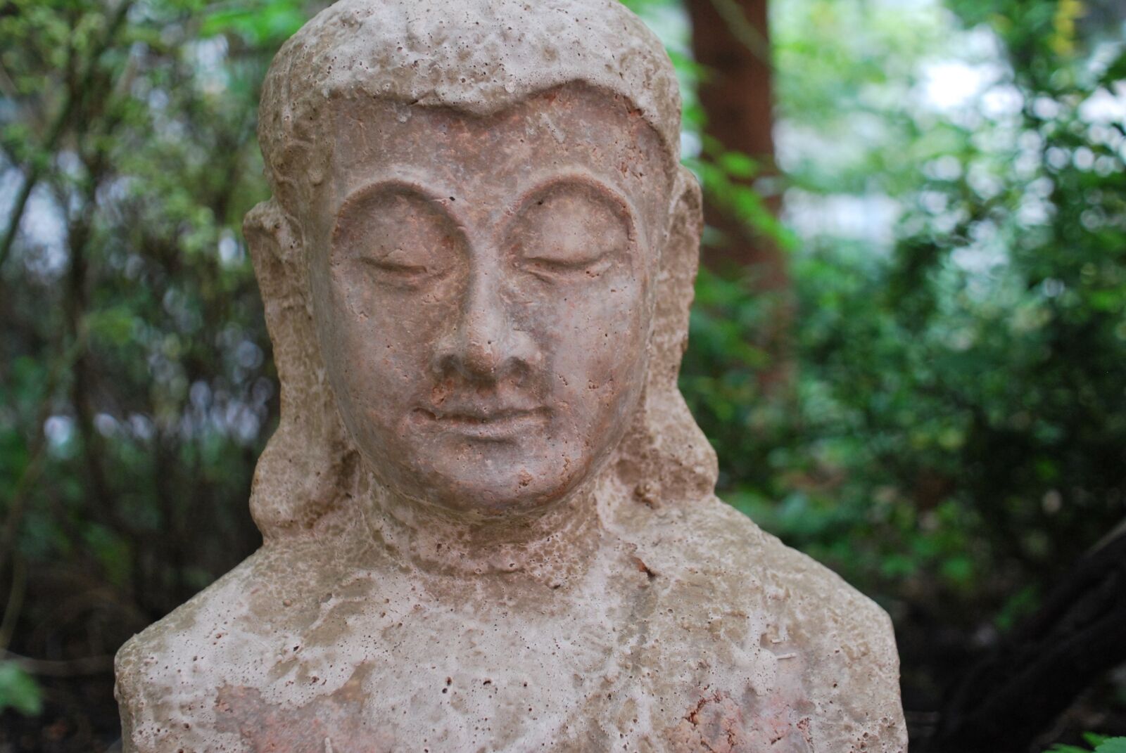 Nikon D60 sample photo. Religion, buddha figure, garden photography