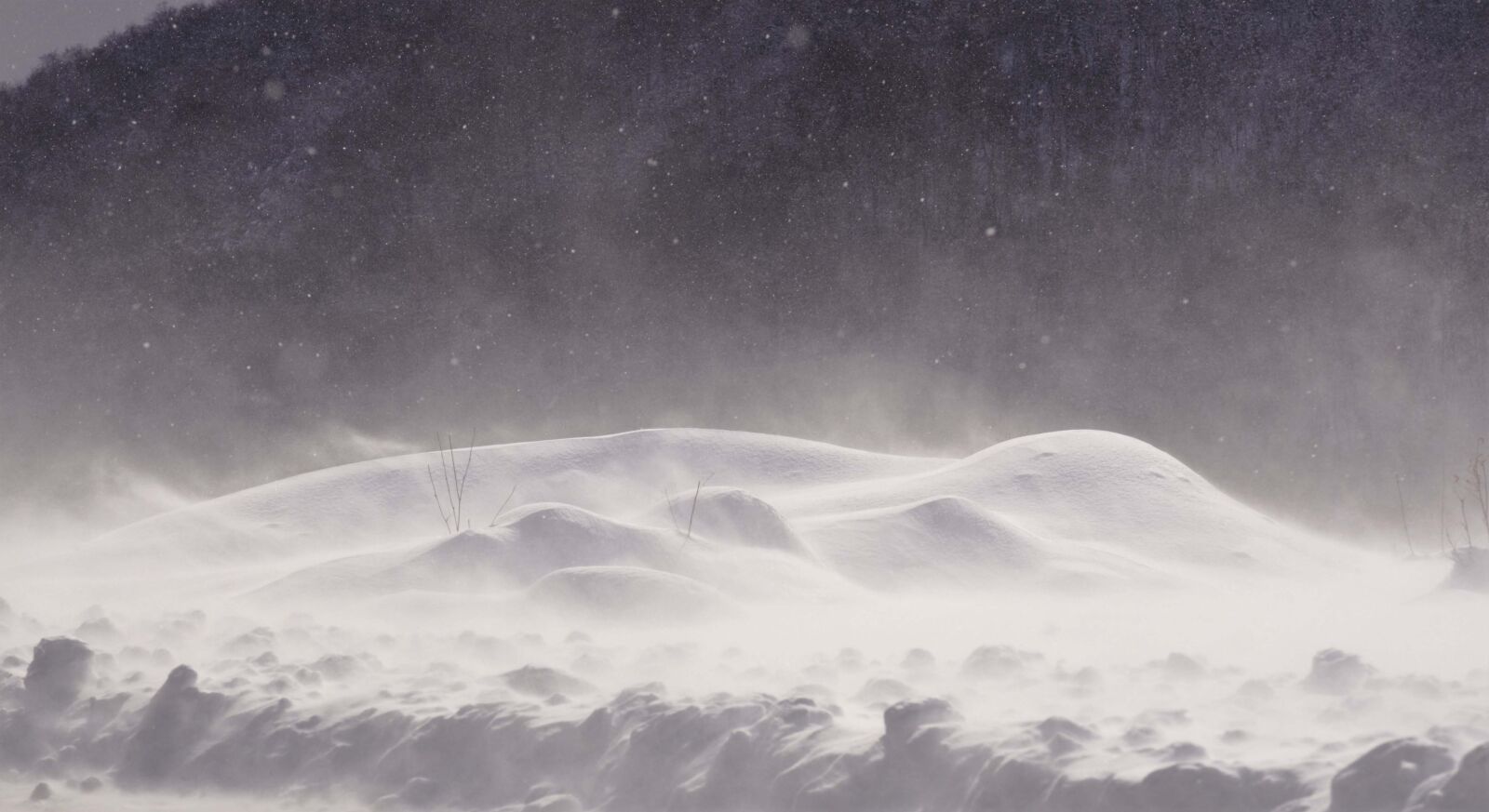 Nikon D7000 sample photo. Snow, winter, cold photography