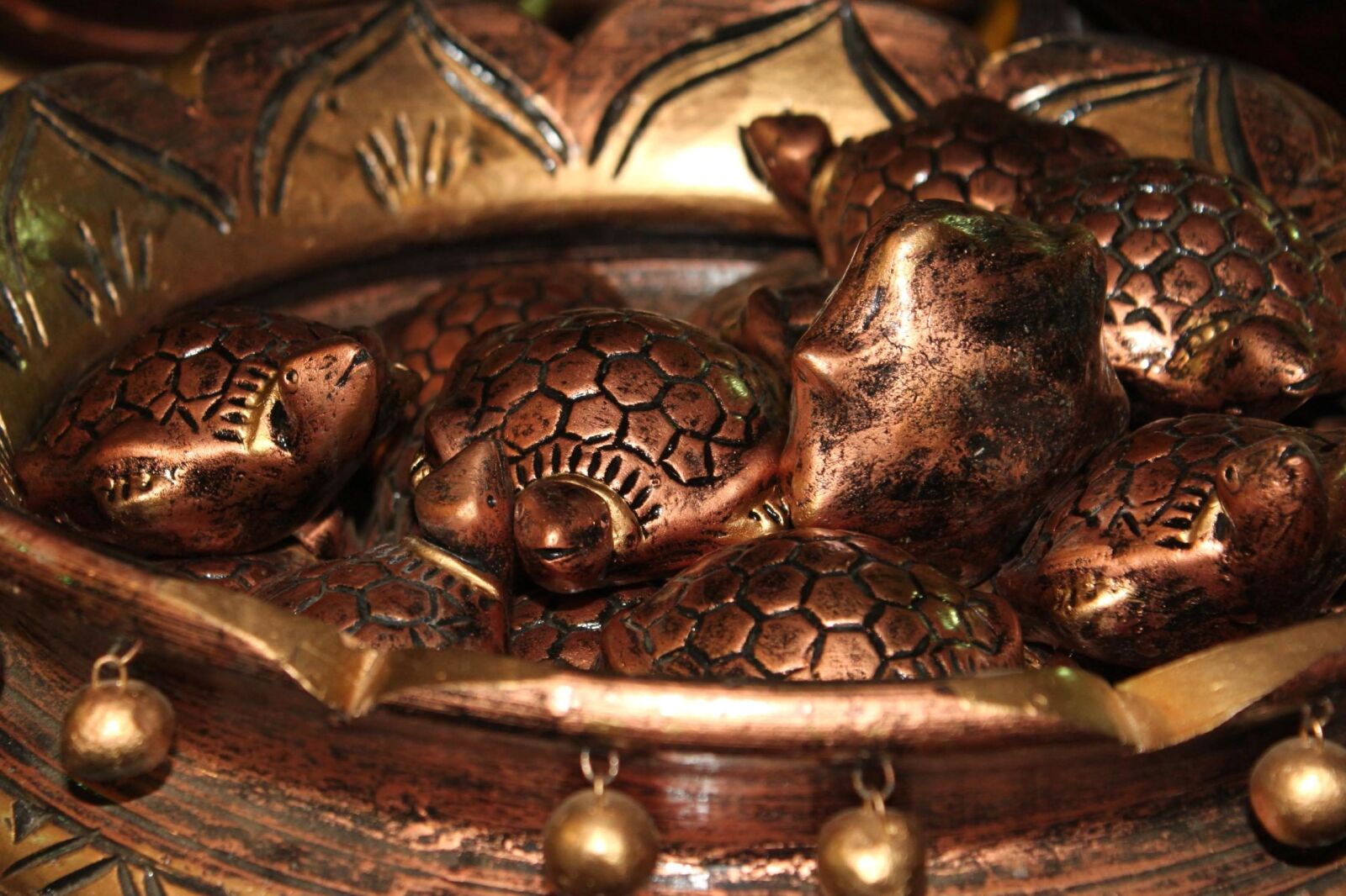Canon EOS 500D (EOS Rebel T1i / EOS Kiss X3) sample photo. Turtle, figure, art, sculpture photography