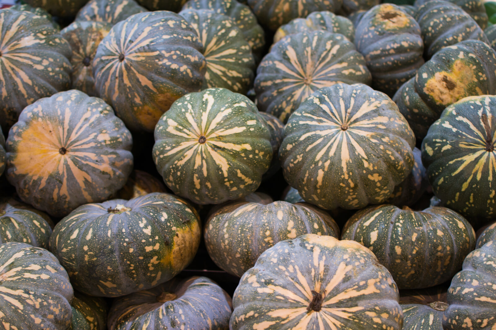 Nikon D3100 + Nikon AF-S DX Nikkor 35mm F1.8G sample photo. Pumpkins, vegetable photography