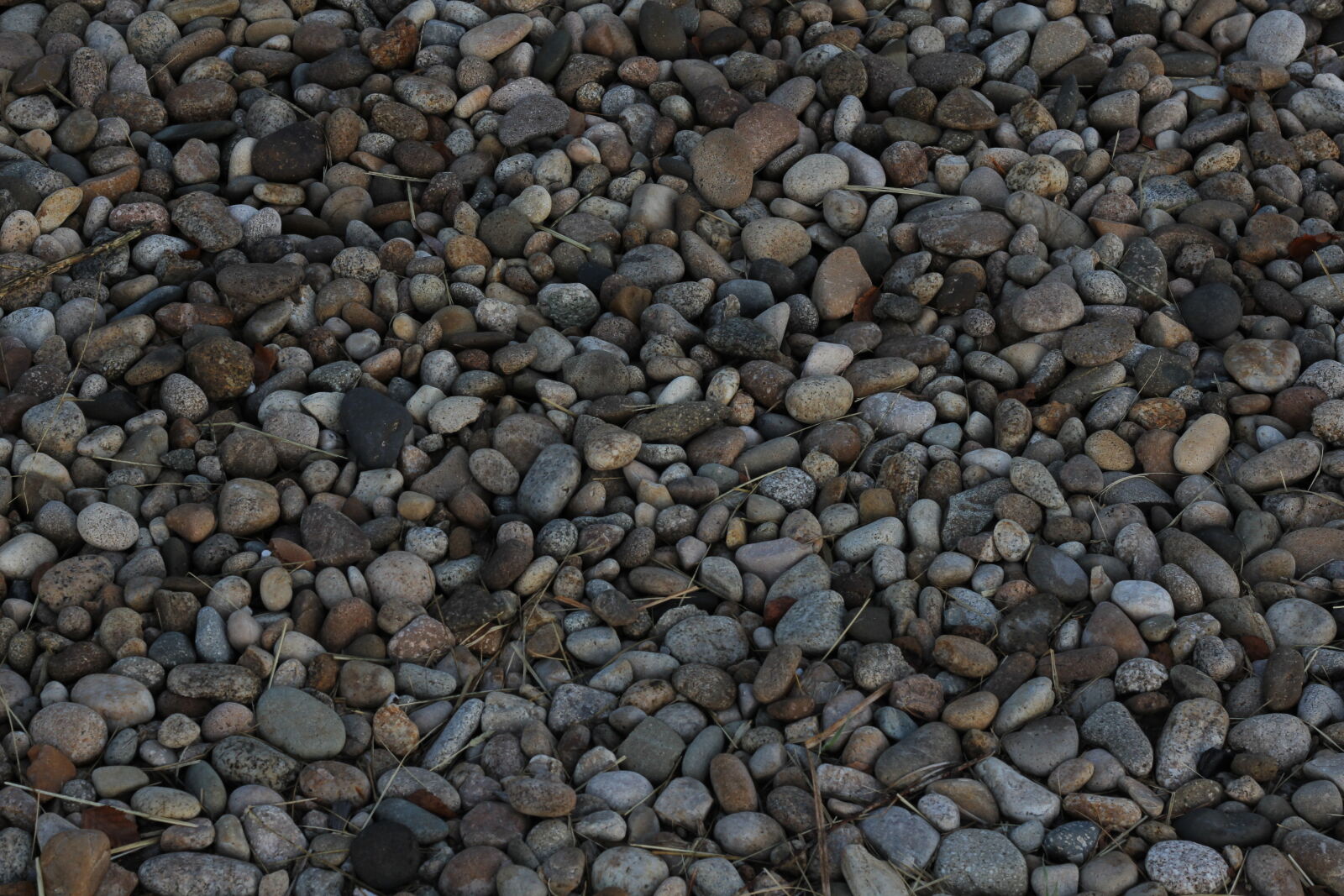 Canon EOS 60D + Canon EF 50mm F1.8 II sample photo. Gravel, pebbles, rocks photography