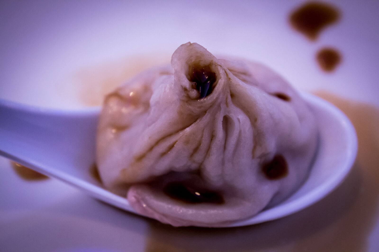 Canon EOS 600D (Rebel EOS T3i / EOS Kiss X5) sample photo. Steamed, dumplng photography