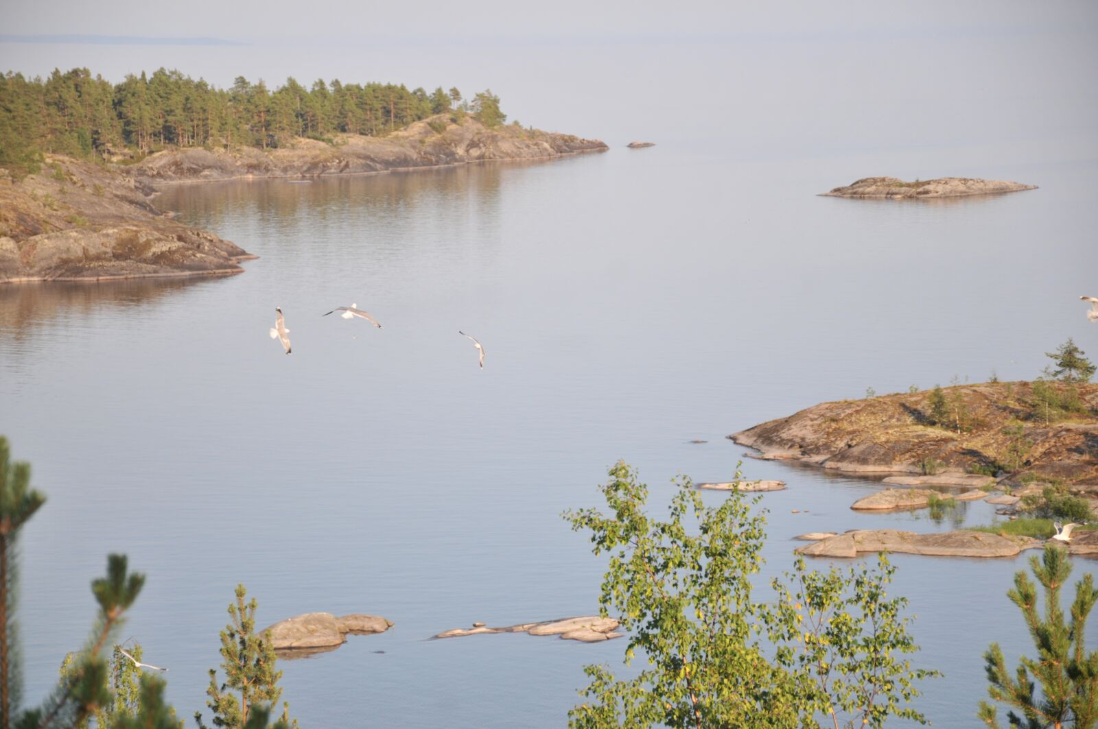 Nikon D300S sample photo. Lake, ladoga, landscape photography