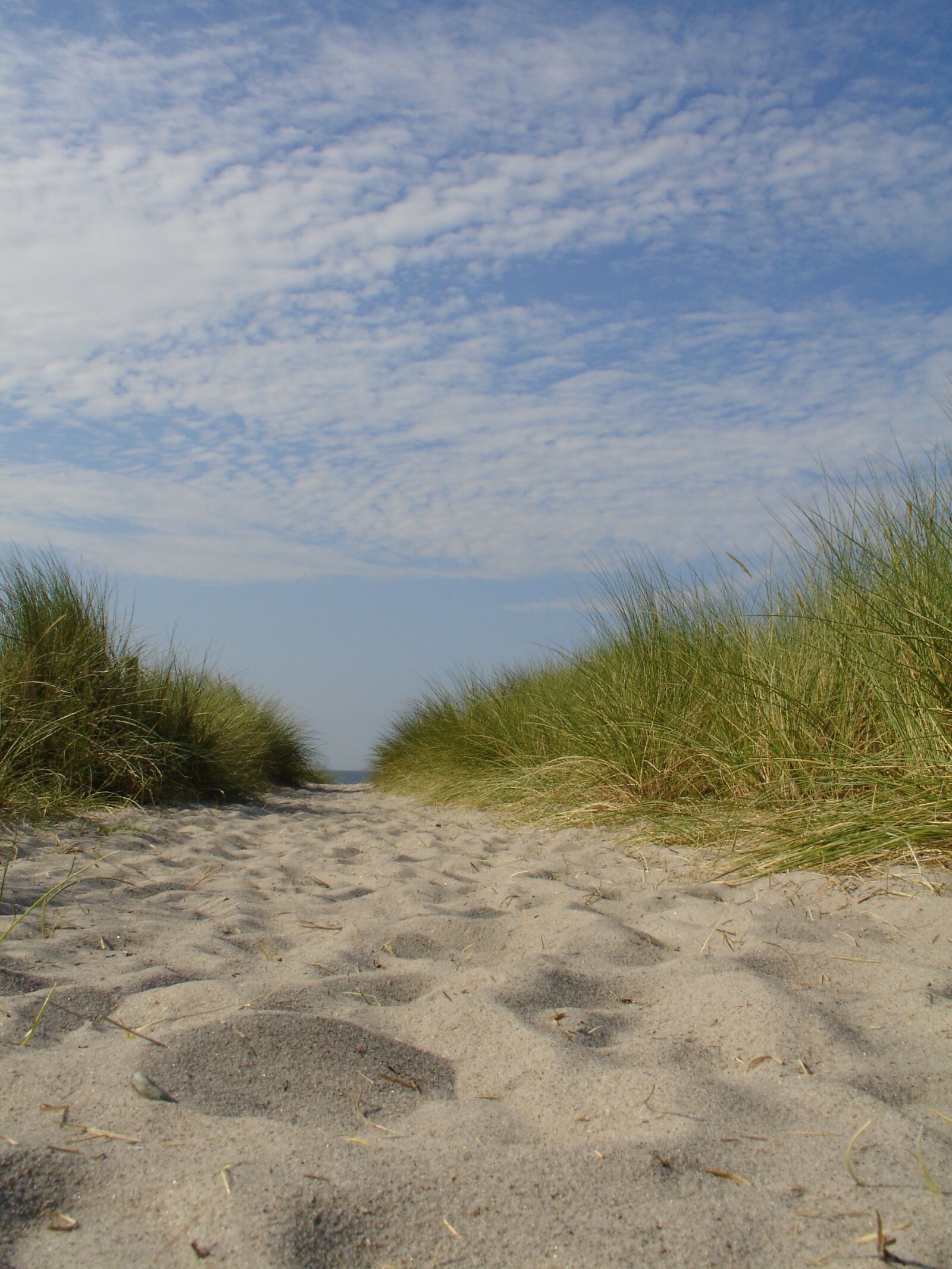 Sony DSC-V3 sample photo. Sand, summer, vacations photography