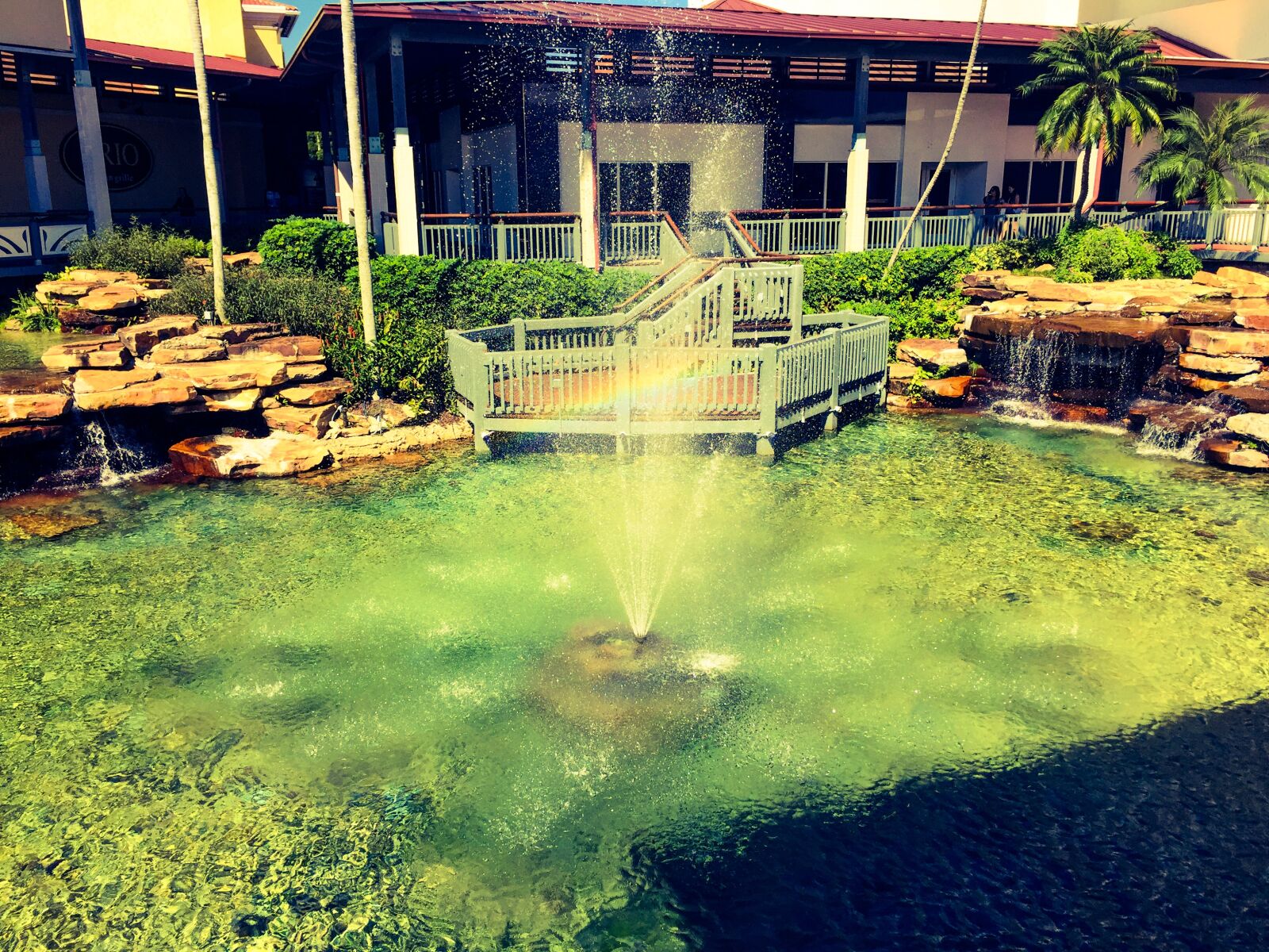 Apple iPhone 6 sample photo. Miami photography