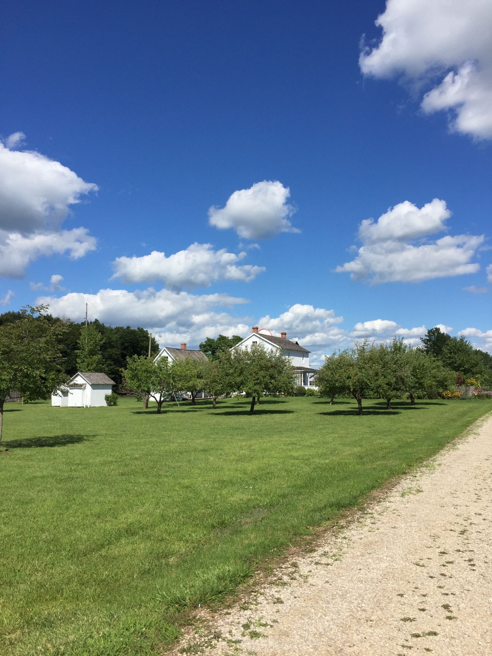 Apple iPhone 6 sample photo. Indiana, blue sky, path photography