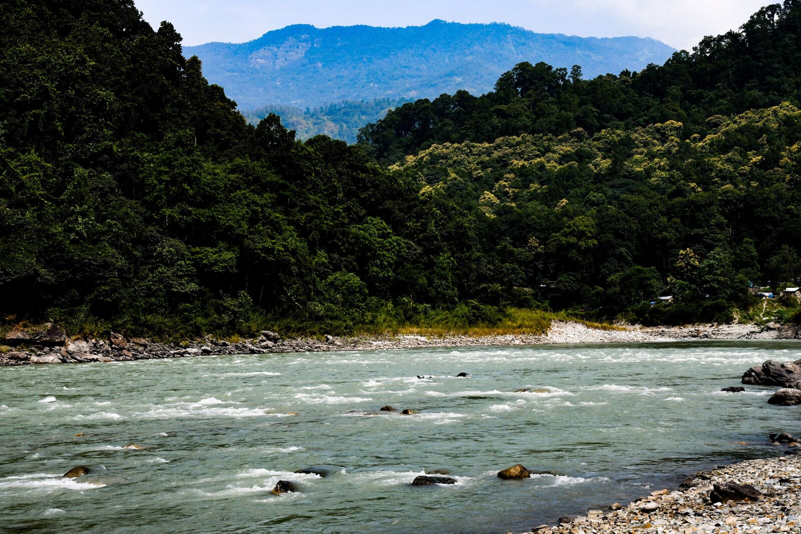 Nikon D500 sample photo. Teesta, river, himalaya photography