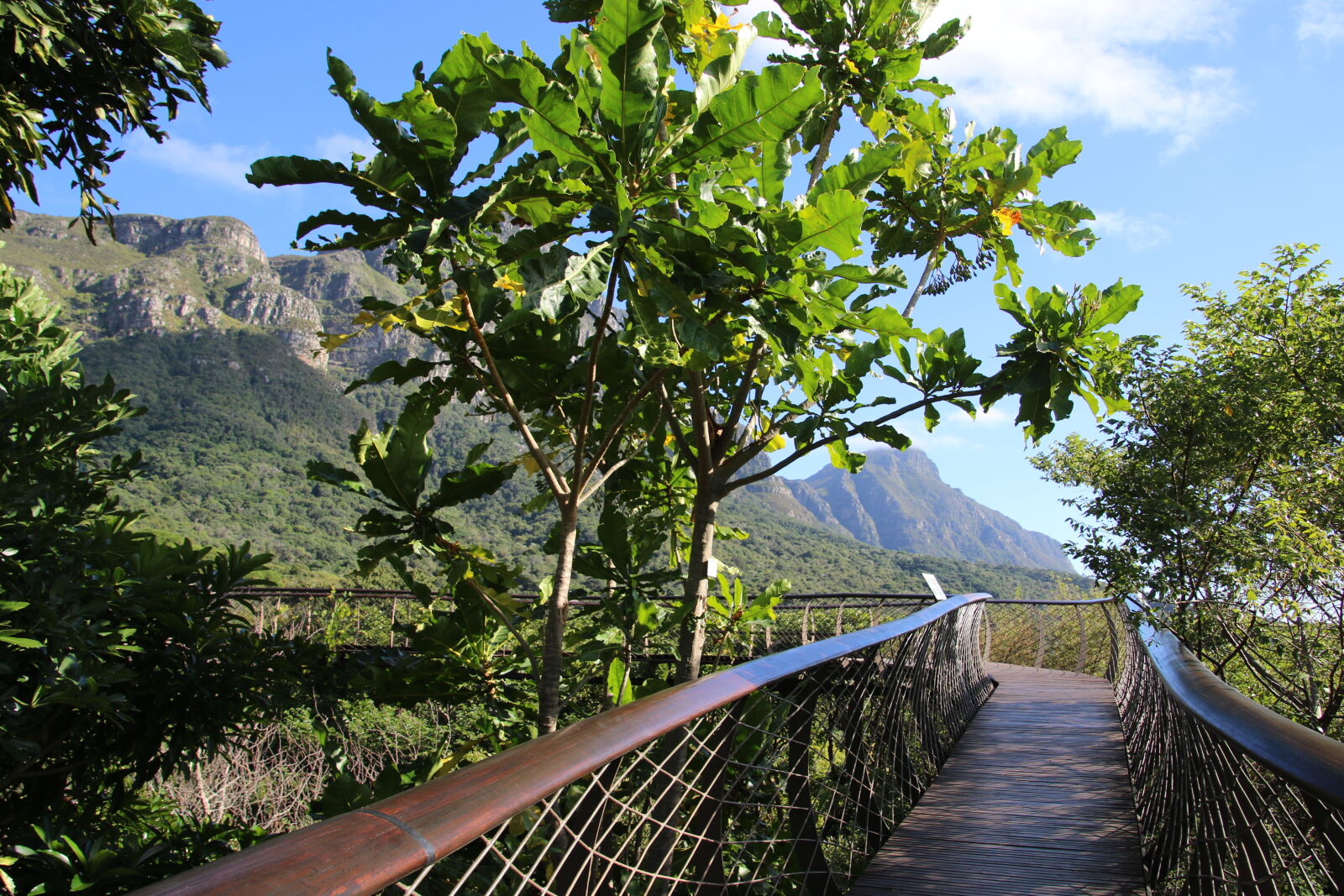 Canon EOS 7D Mark II sample photo. Blue, sky, canopy, walkway photography