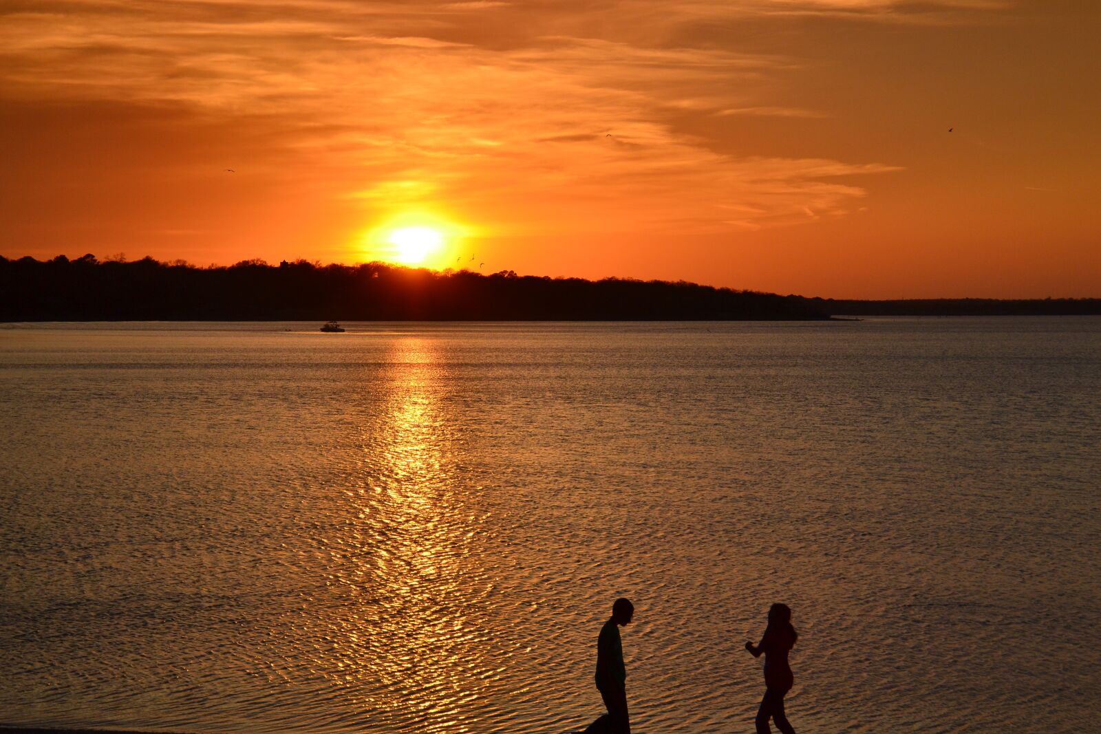 Nikon D3100 sample photo. Sunset, horizon, nature photography