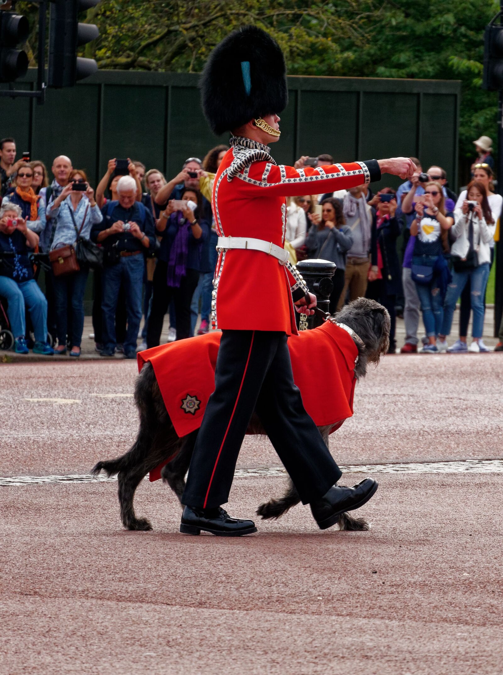 Panasonic Lumix DMC-G6 sample photo. Soldier, dog, army photography