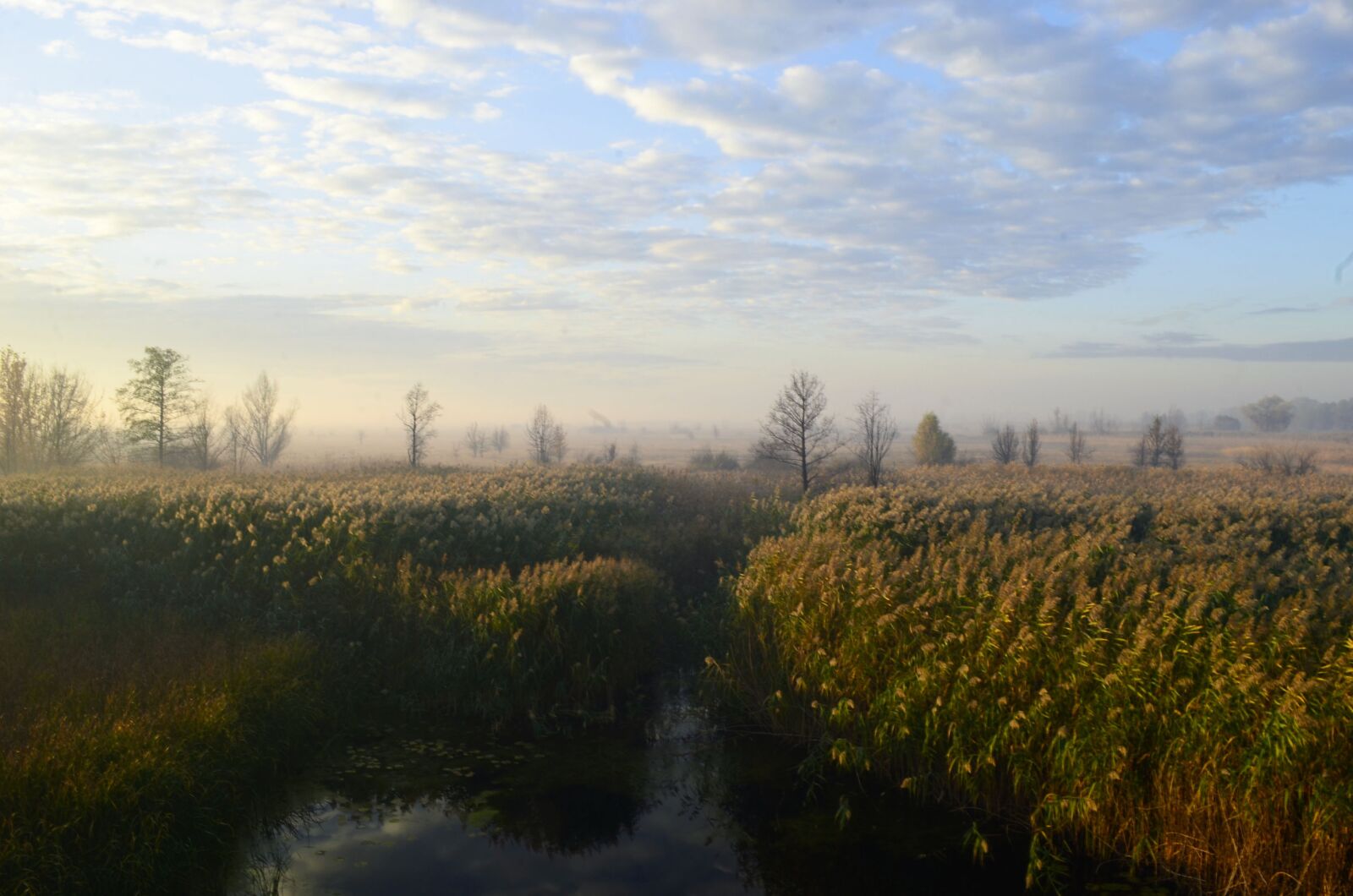 Nikon D5100 sample photo. Morning, dawn, landscape photography