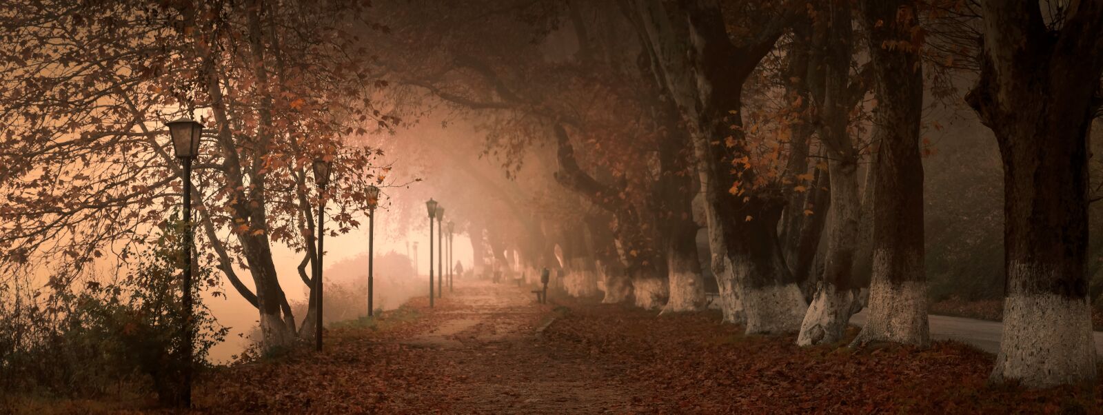 Nikon D5300 sample photo. Fog, kastoria, greece photography