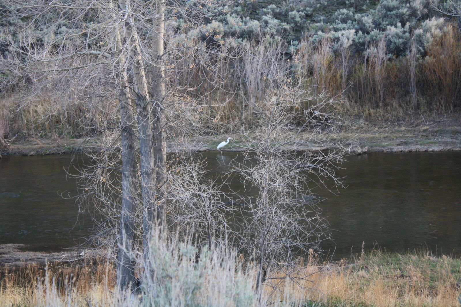 Canon EOS 1000D (EOS Digital Rebel XS / EOS Kiss F) sample photo. Nevada, river, landscape photography