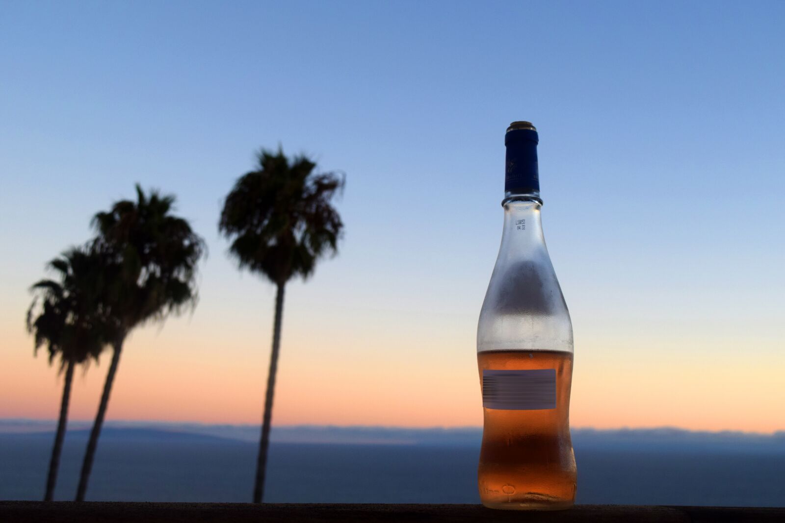Nikon D3300 sample photo. Wine, evening, drink photography