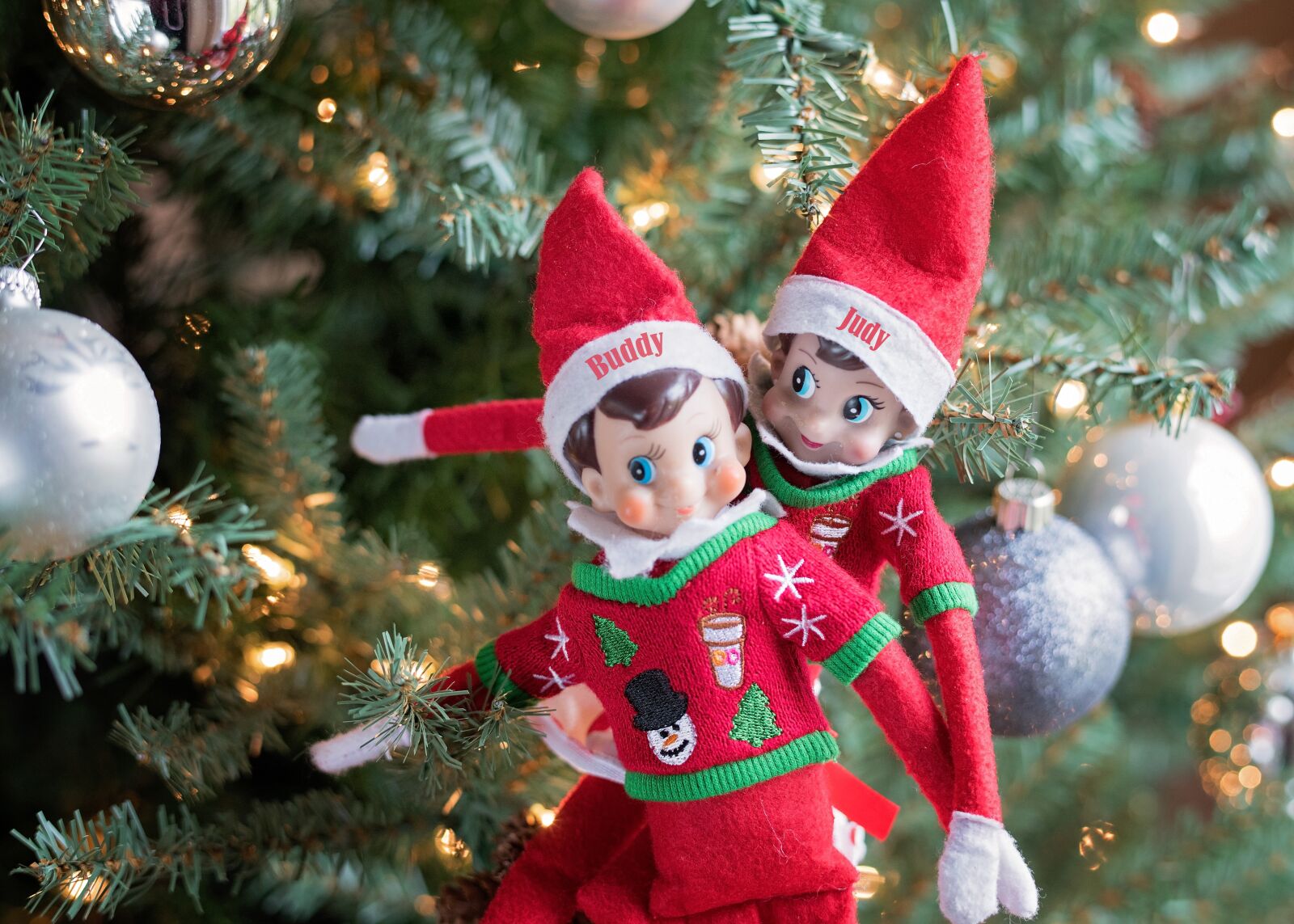 Nikon D810 sample photo. Elf on a shelf photography