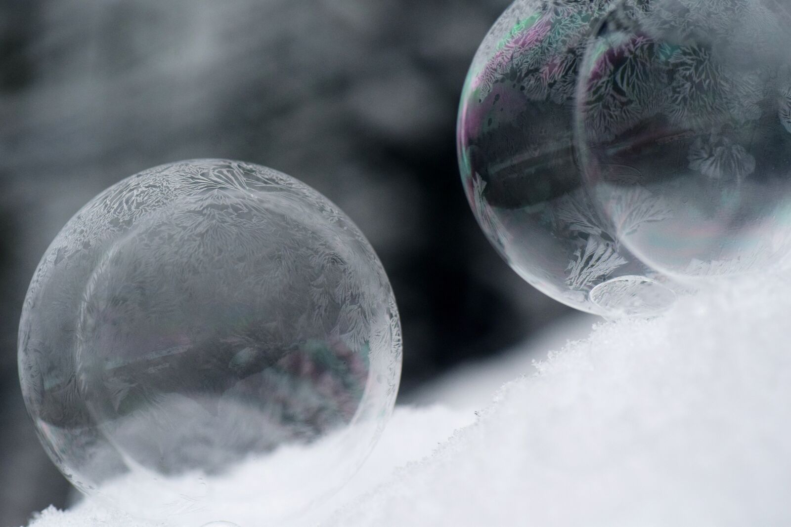 Nikon D3300 sample photo. Ball, ice ball, frosty photography