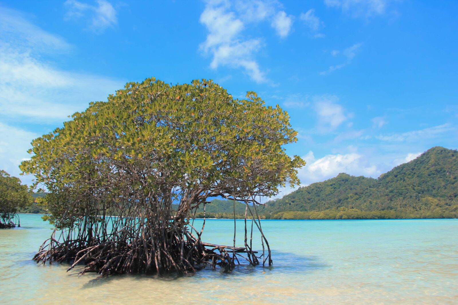 Canon EOS 60D sample photo. Pahawangisland, natur, sea photography