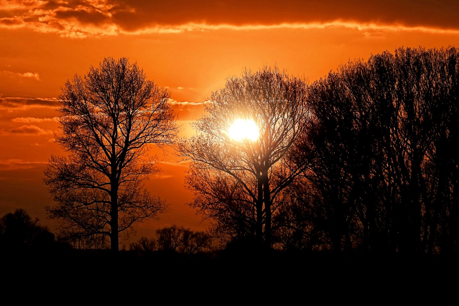 Nikon Coolpix P900 sample photo. Sunset, sky, trees silhouette photography