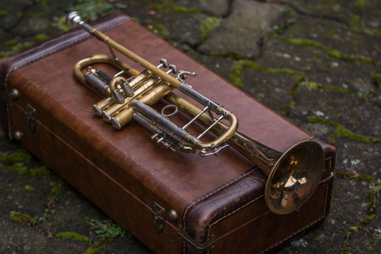Pentax K-3 sample photo. Brass, leather, instrument photography