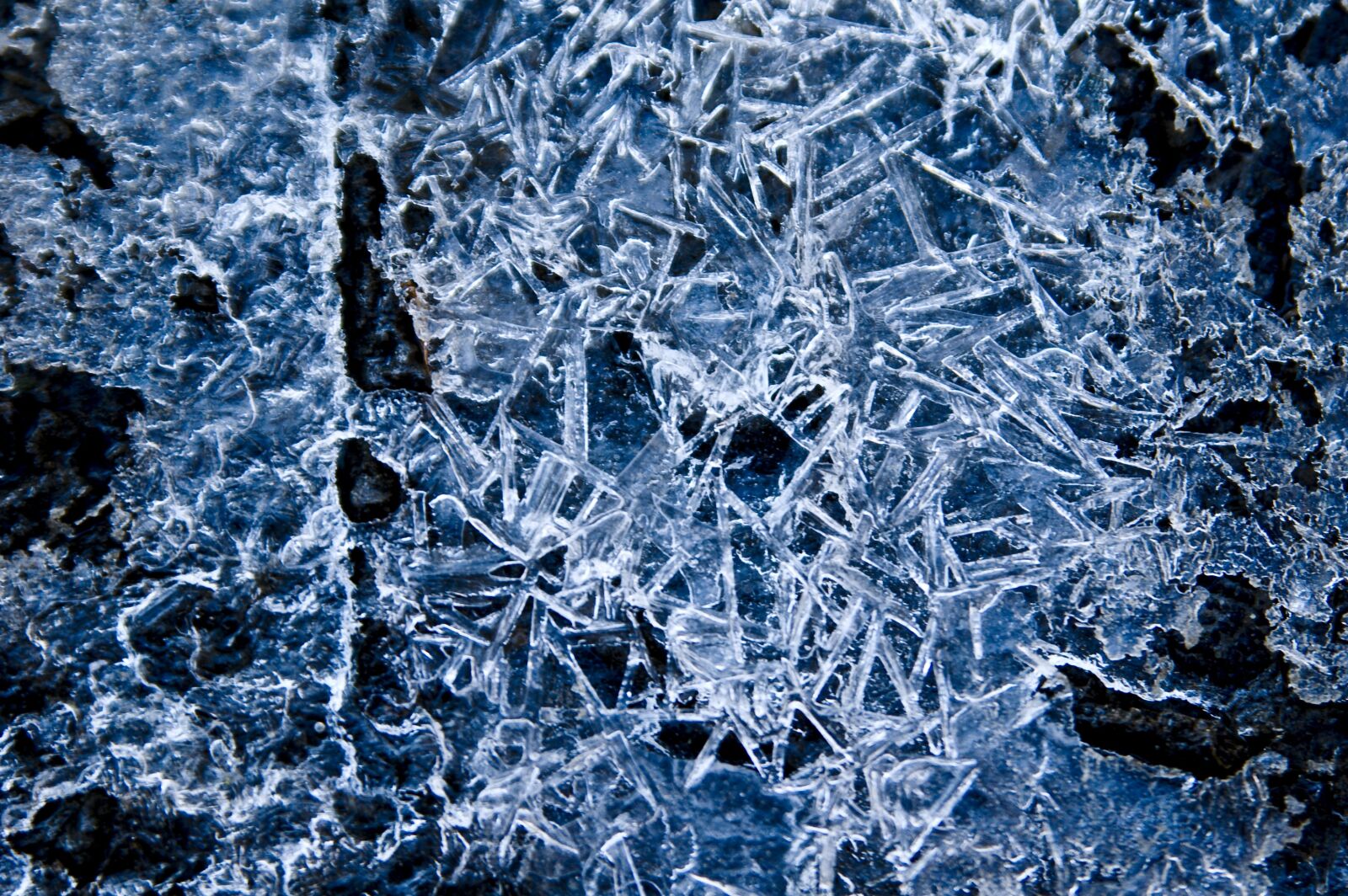 Nikon D70 sample photo. Frost, texture, ice photography