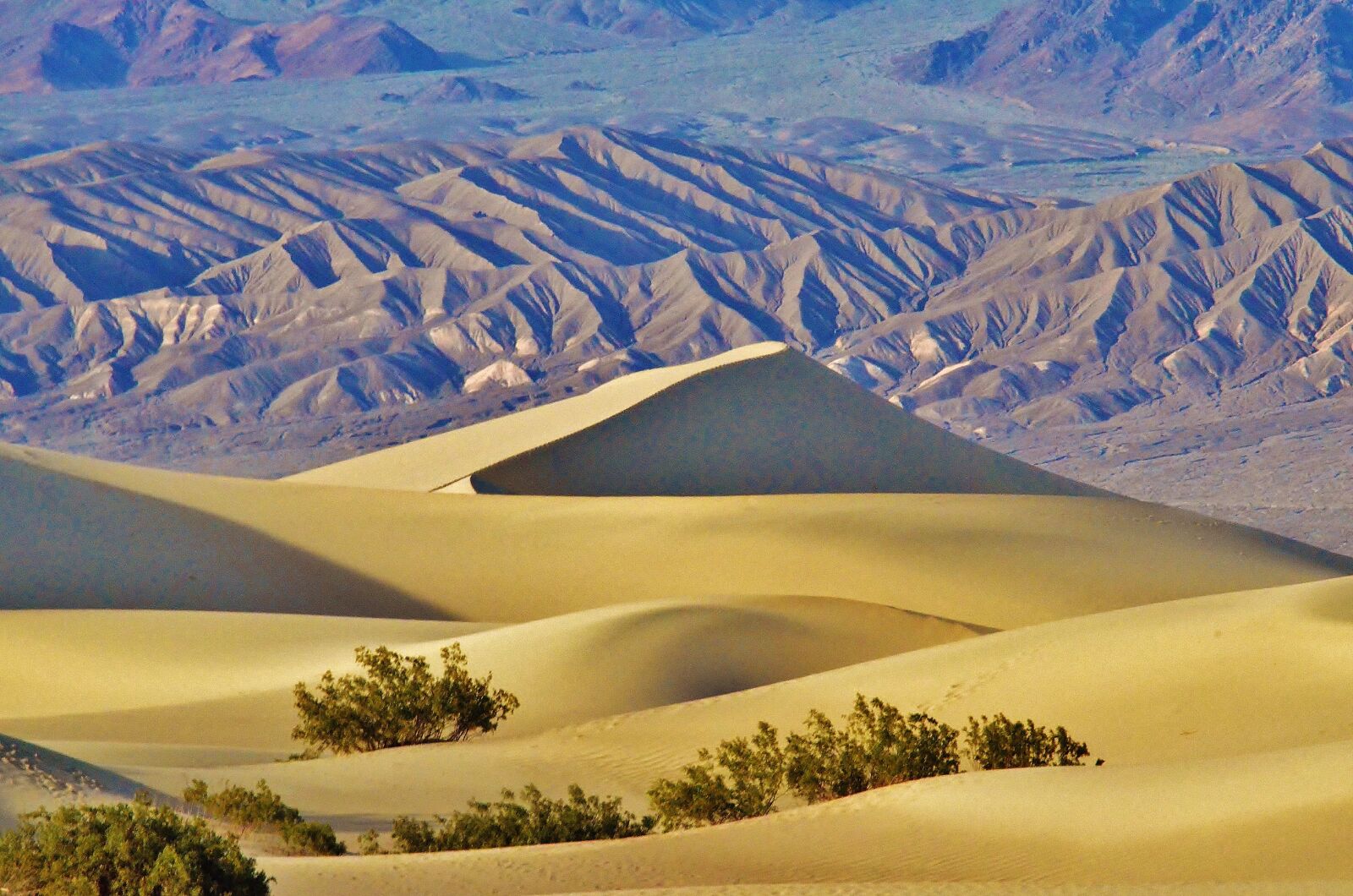 Nikon D5100 sample photo. Mesquite flats, death valley photography