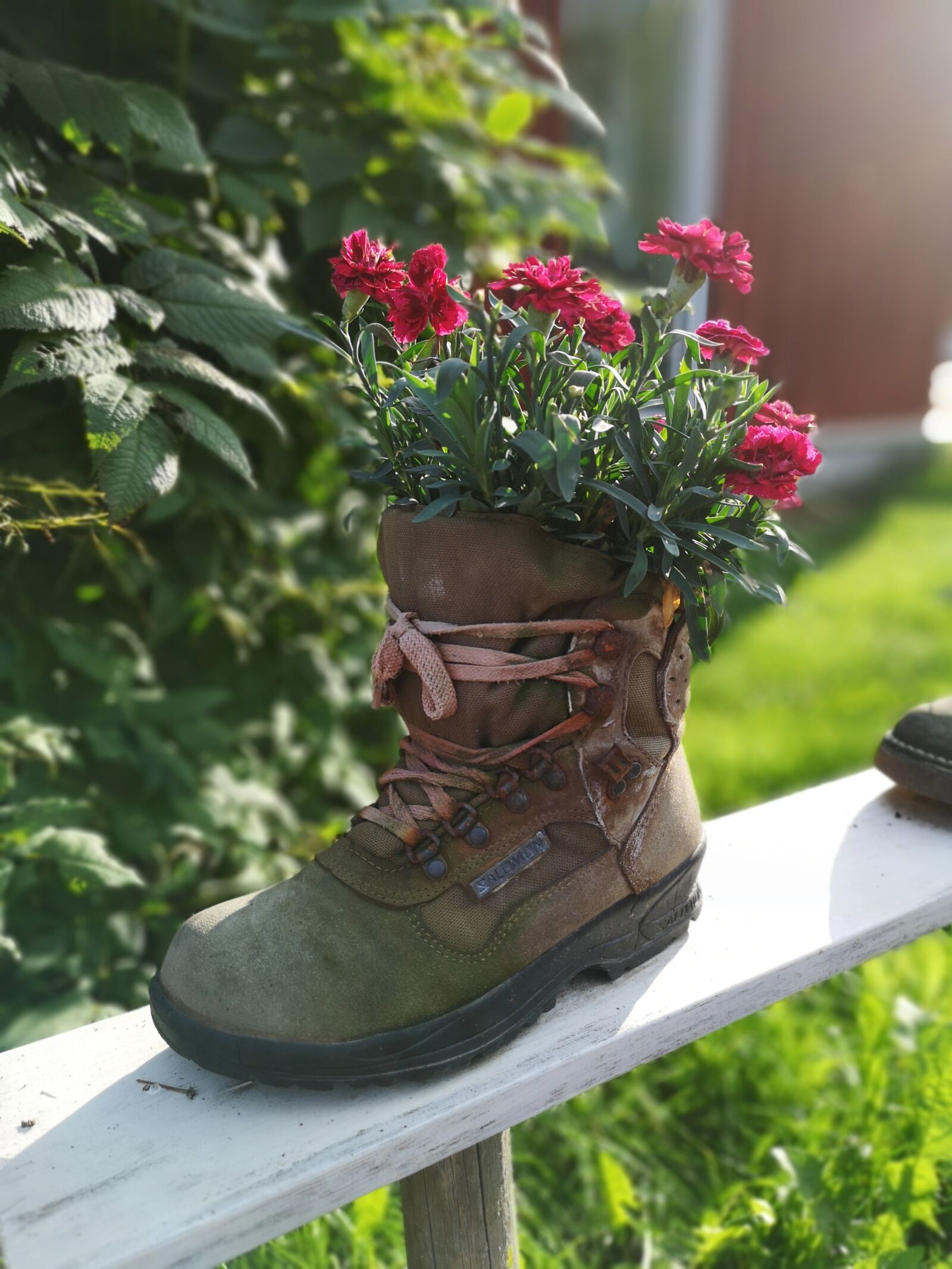 HUAWEI CLT-L29 sample photo. Flowers, summer flowers, gardening photography