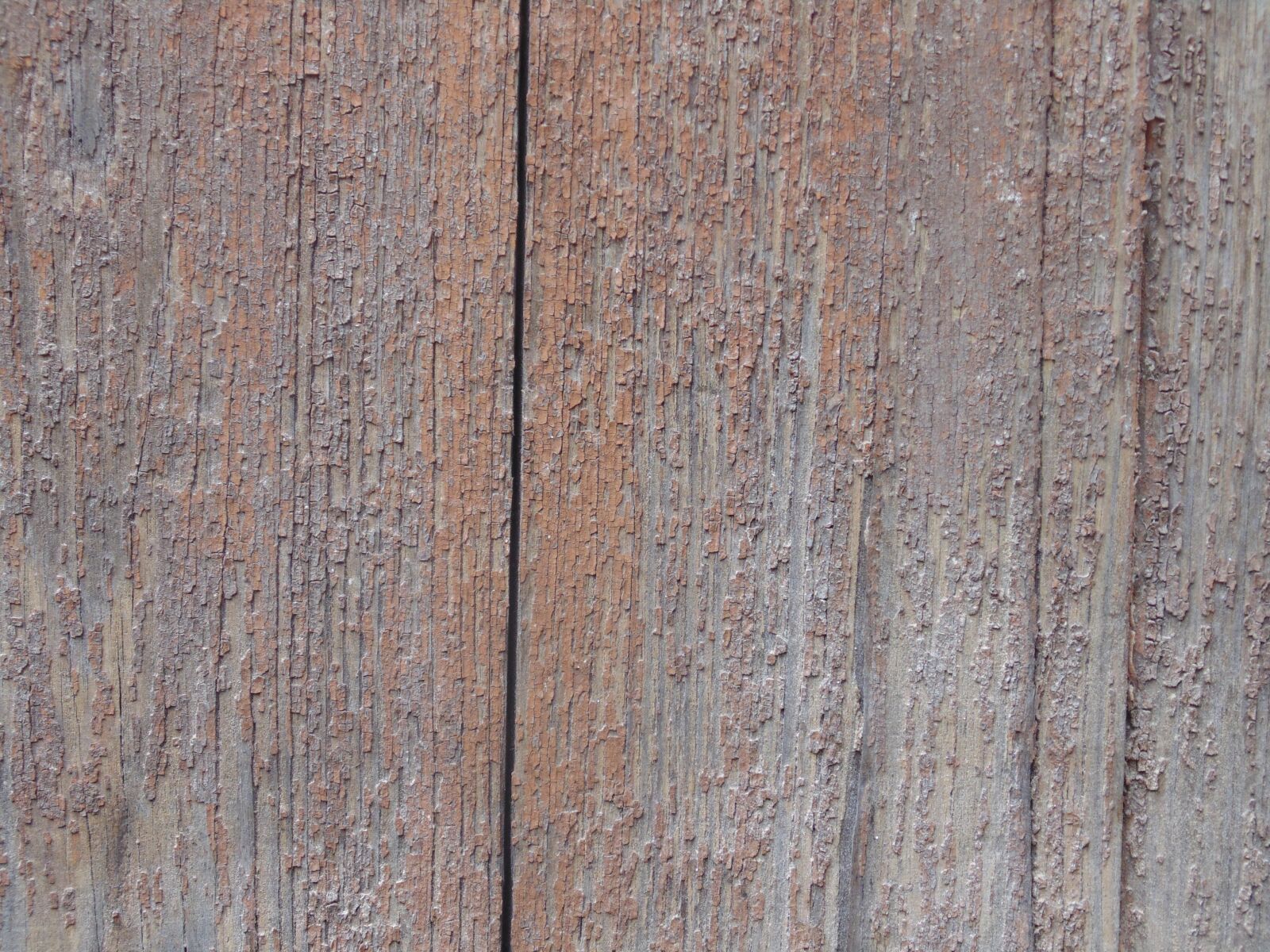 Sony Cyber-shot DSC-H200 sample photo. Wooden door, wood, shabby photography