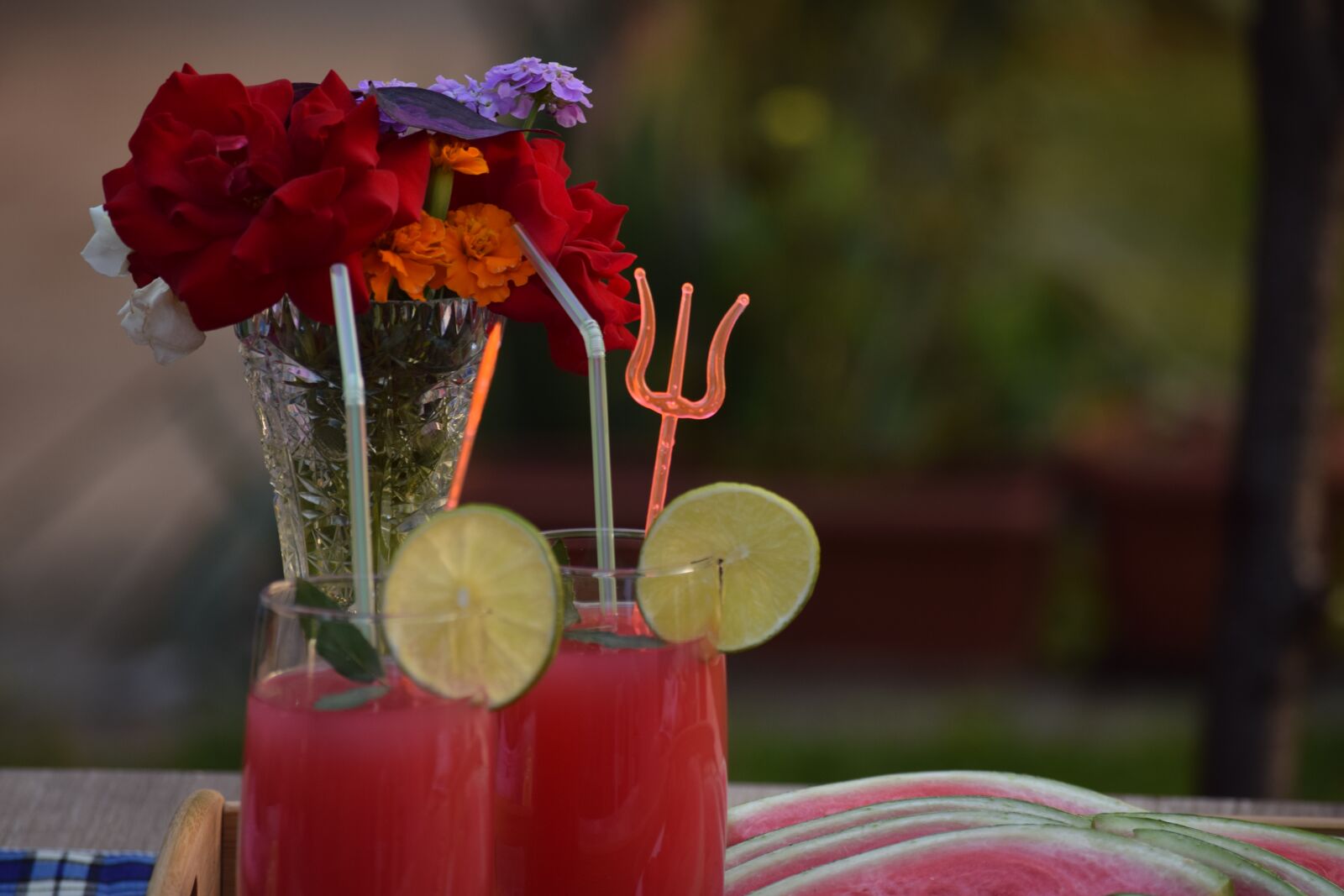 Nikon D3300 sample photo. Watermelon, plate, served photography