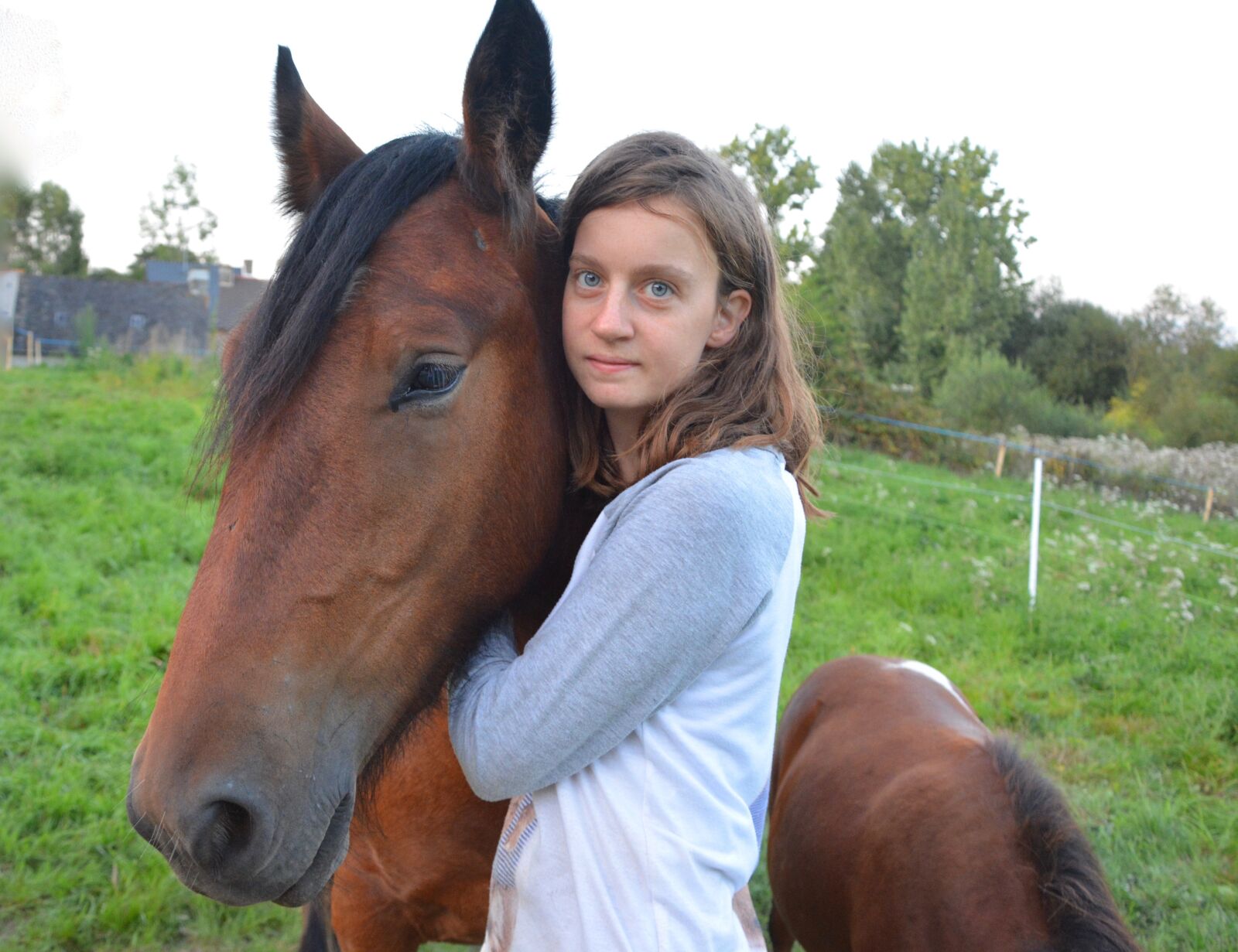 Nikon D5200 sample photo. Horse, equine, girl photography