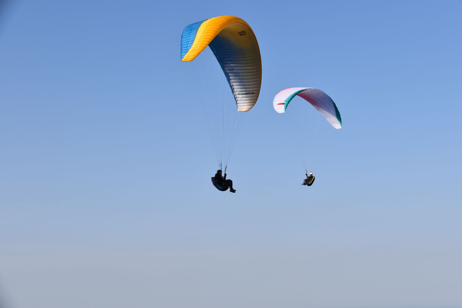 Nikon D5600 sample photo. Paragliders, adventure, sport photography