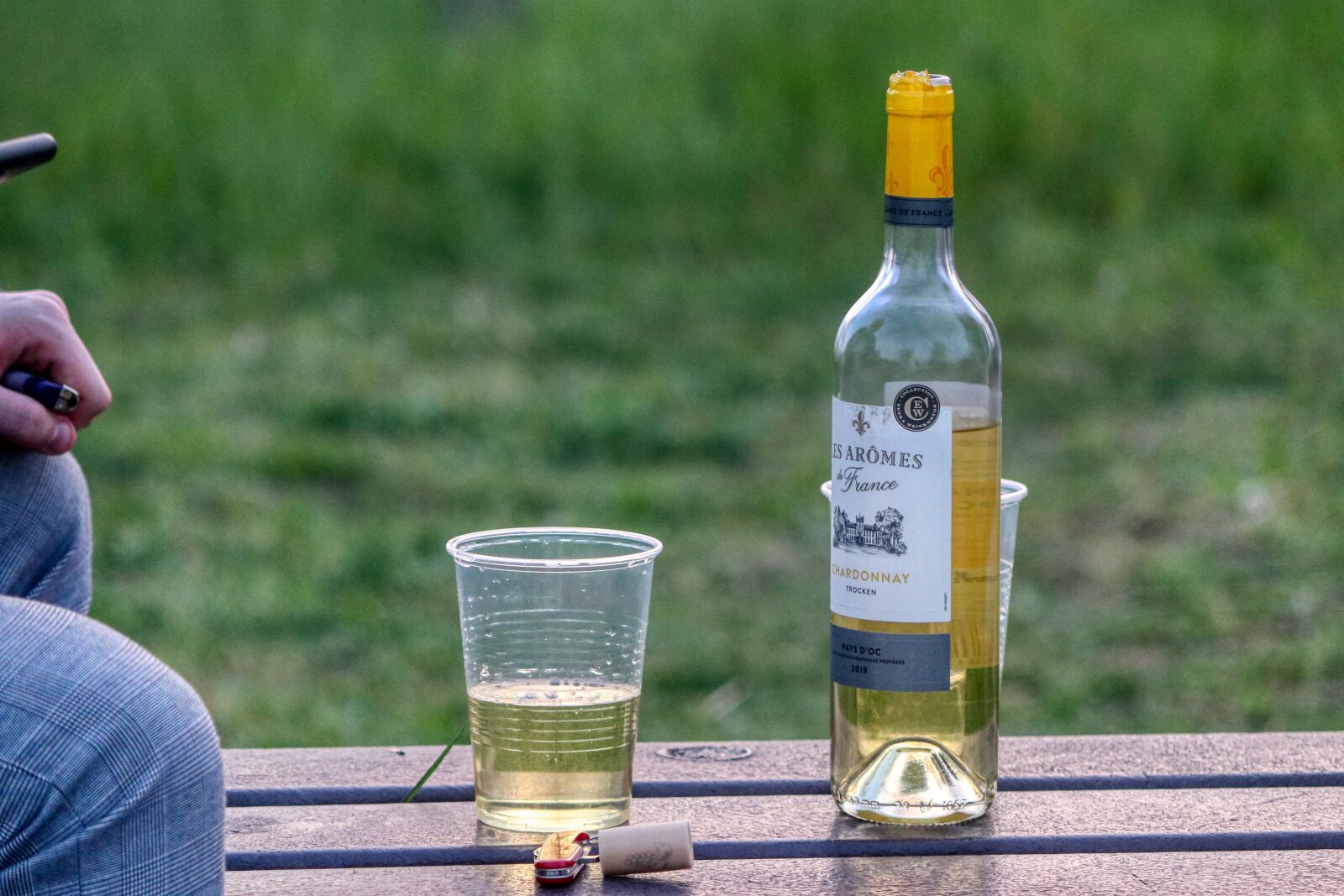 Canon EOS 80D sample photo. Drink, wine, cup photography