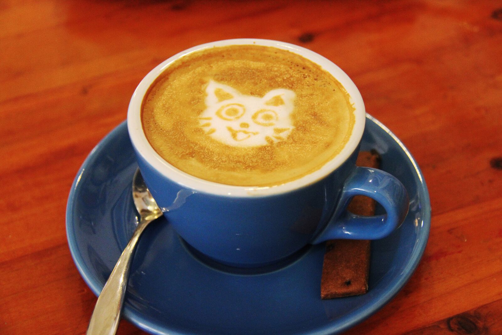 Canon EF-S 18-200mm F3.5-5.6 IS sample photo. Coffee, cafe, cat photography